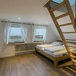 Nordseerobbe *