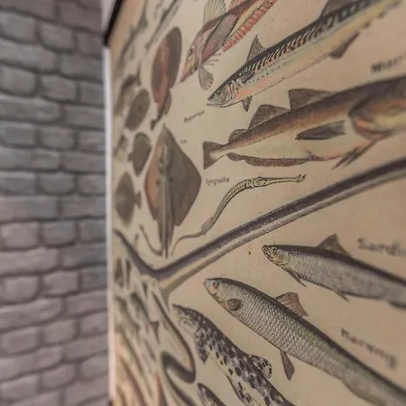 Nordseerobbe Дом отдыха