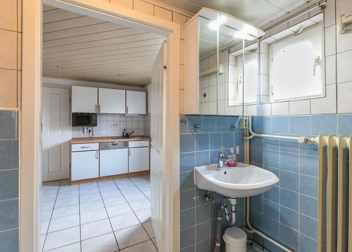 Nordseerobbe * Friedrichskoog