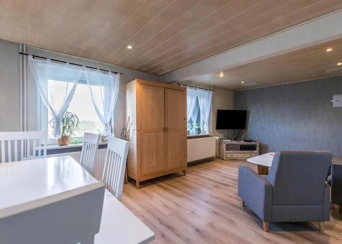 Nordseerobbe * Friedrichskoog